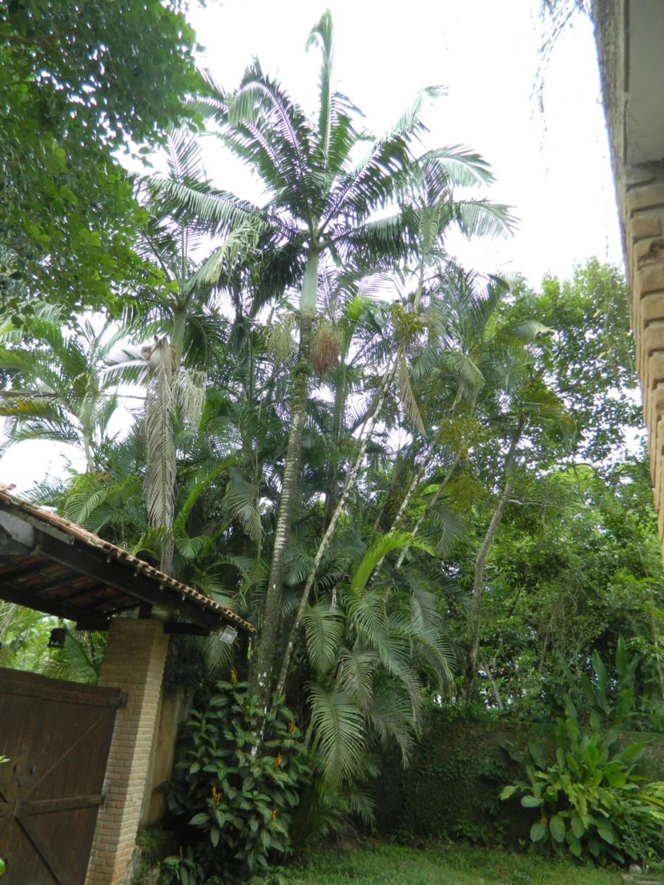 אובטובה Solar Das Canoas Prumirim מראה חיצוני תמונה